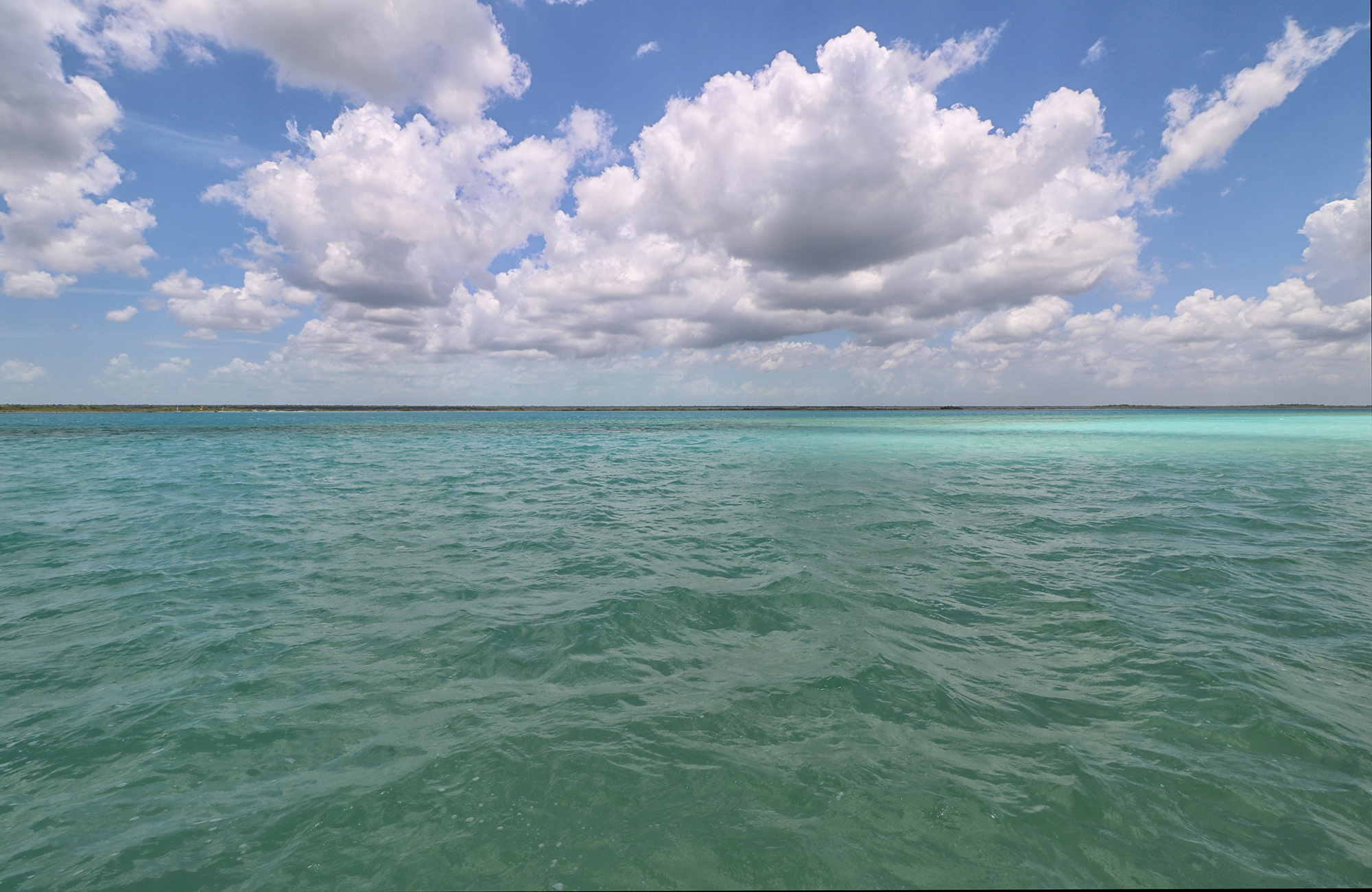 bacalar_4