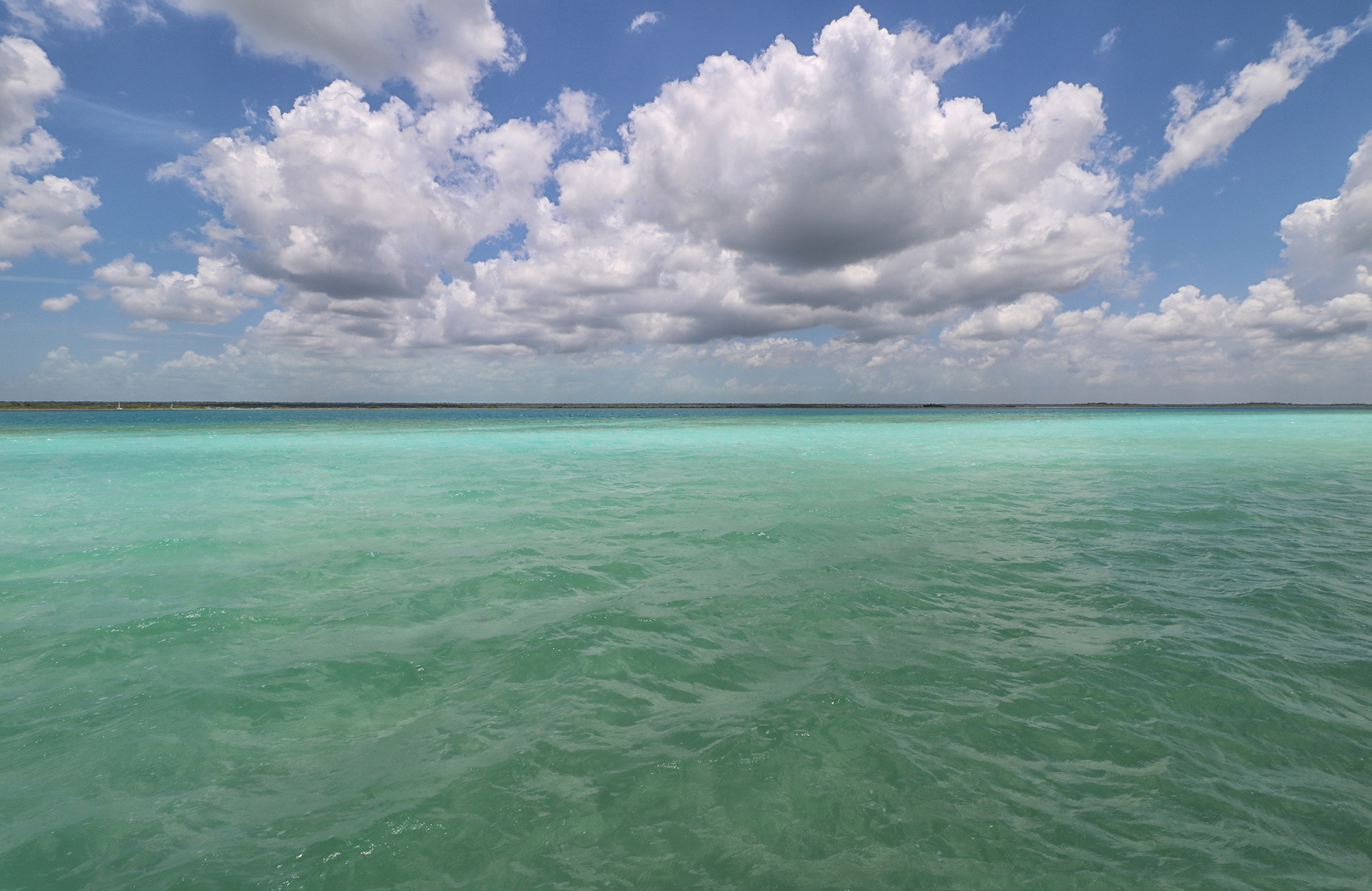 bacalar_5