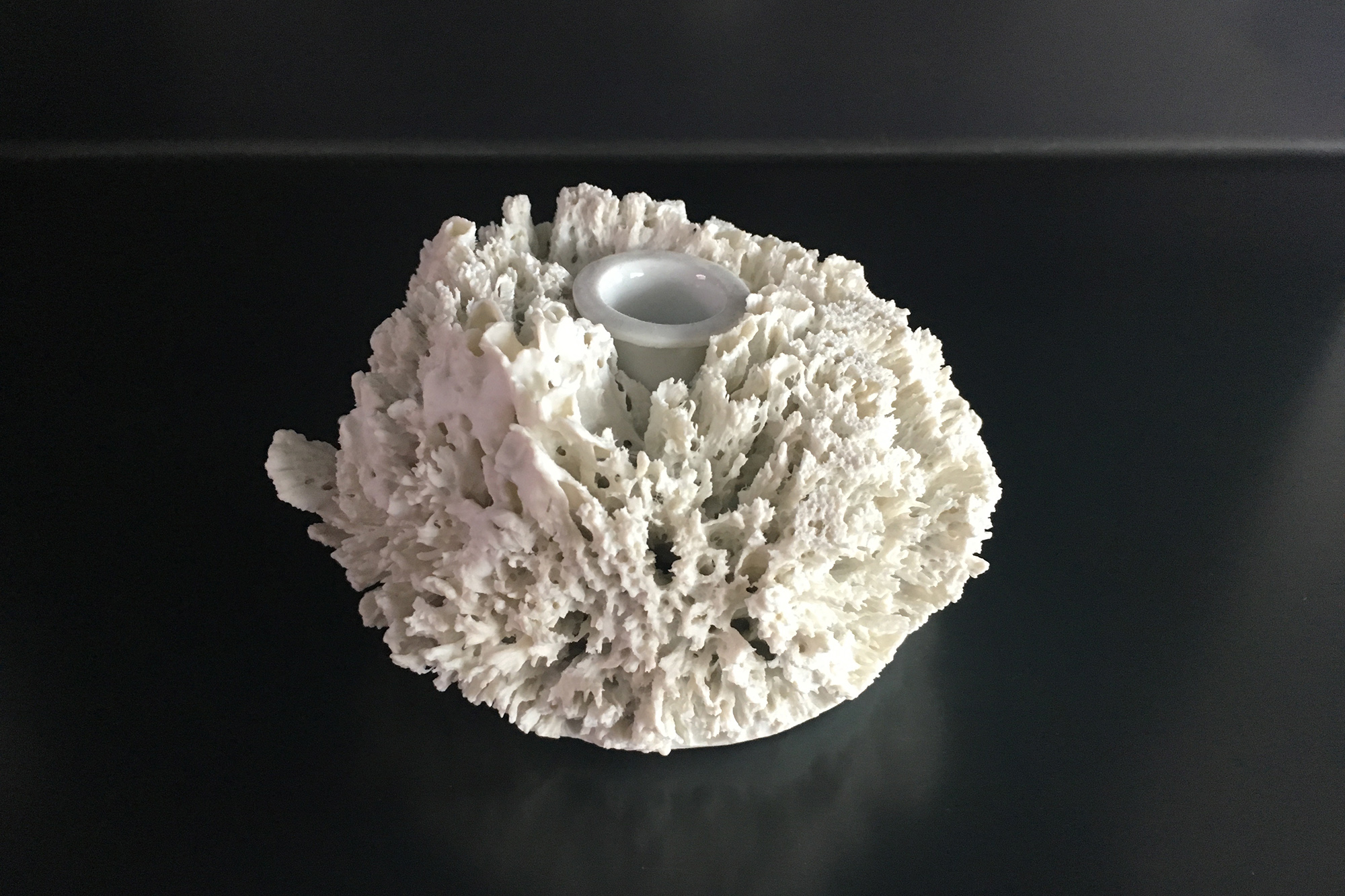 sponge vase wanders